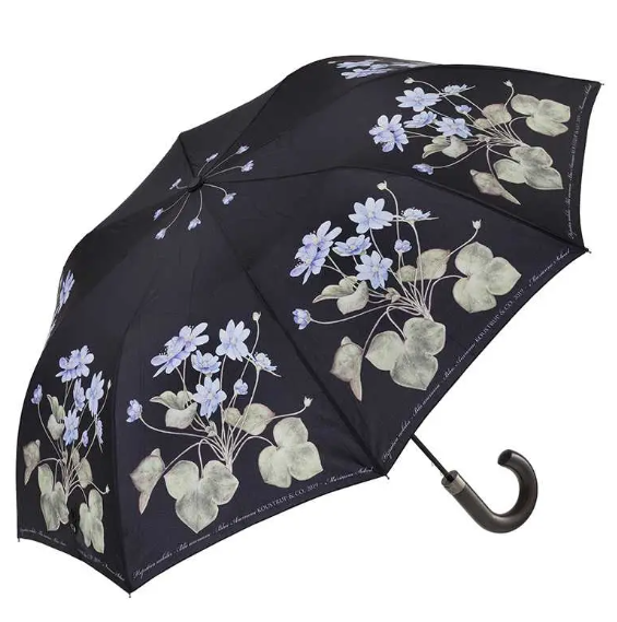 Koustrupco - Anemone umbrella with bamboo handle