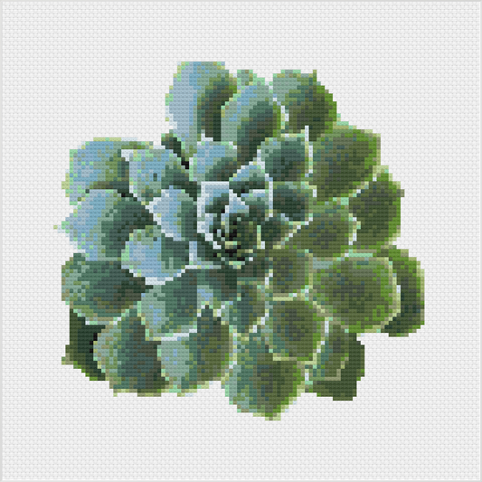 Succulent Cross Stitch Full Kit by Meloca Cross Stitch Kit Designs