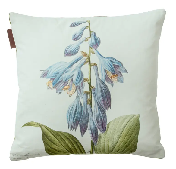 Koustrupco - Blue Hosta pillow cover 100% organic cotton